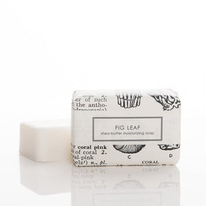 Shea Butter Soap- Fig Leaf Bath Bar